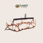 Small Snowmass Elk Antler Chandelier