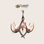 Small Snowmass Elk Antler Chandelier