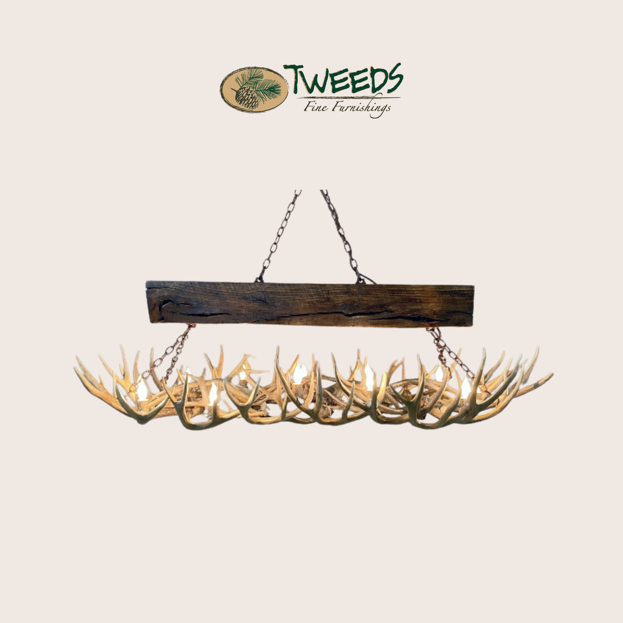 Large Snowmass Mule Deer Antler Chandelier