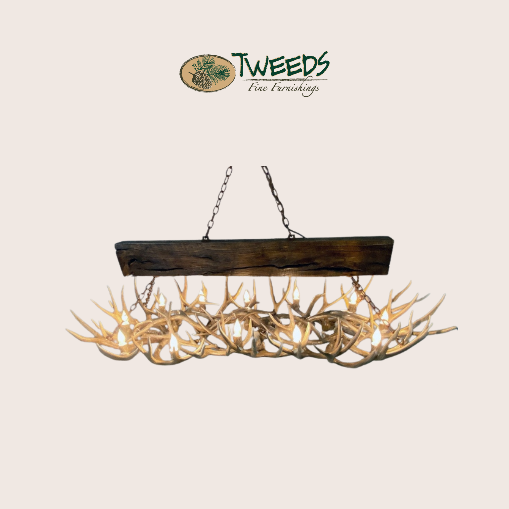Large Snowmass Mule Deer Antler Chandelier