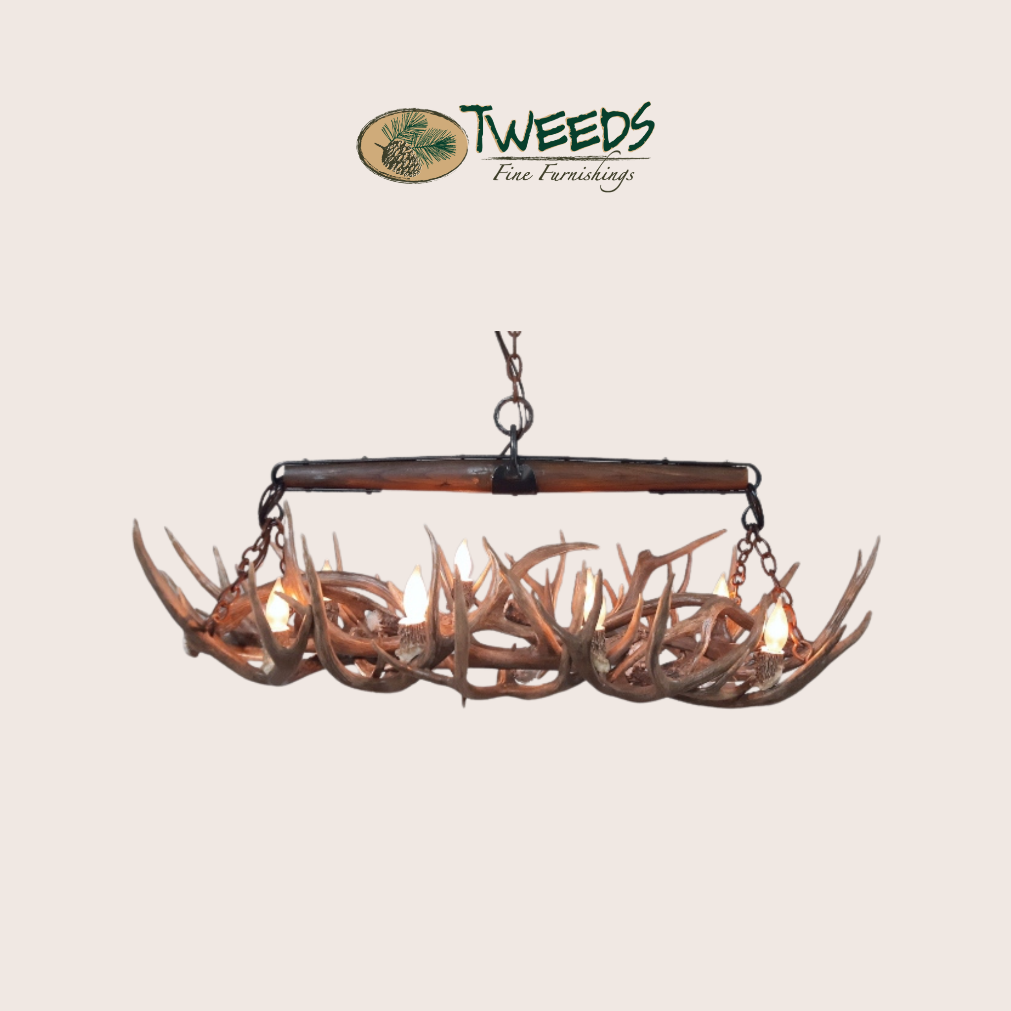 Small Snowmass Mule Deer Antler Chandelier