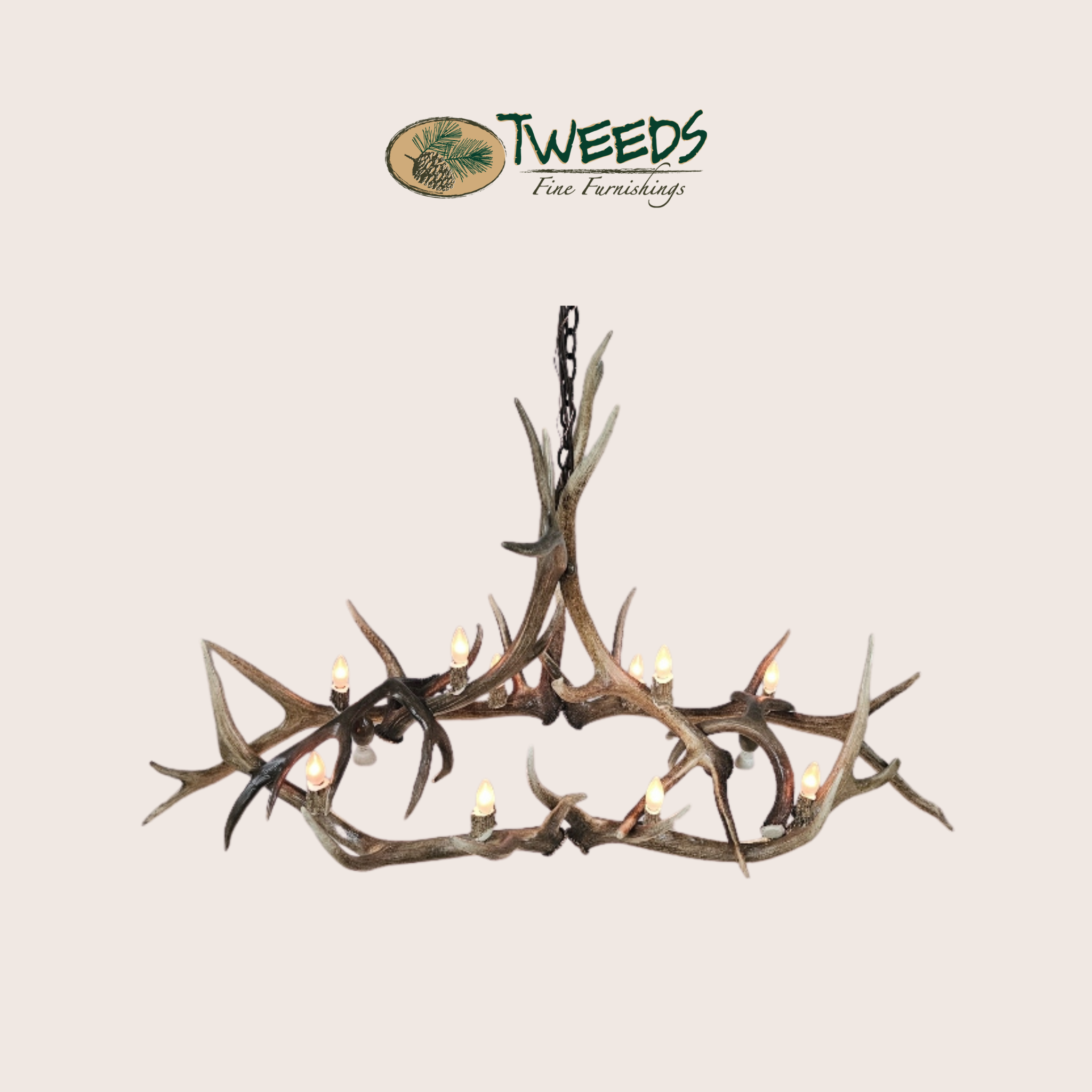 Medium Longs Peak Elk Antler Chandelier