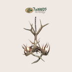 Medium Longs Peak Elk Antler Chandelier