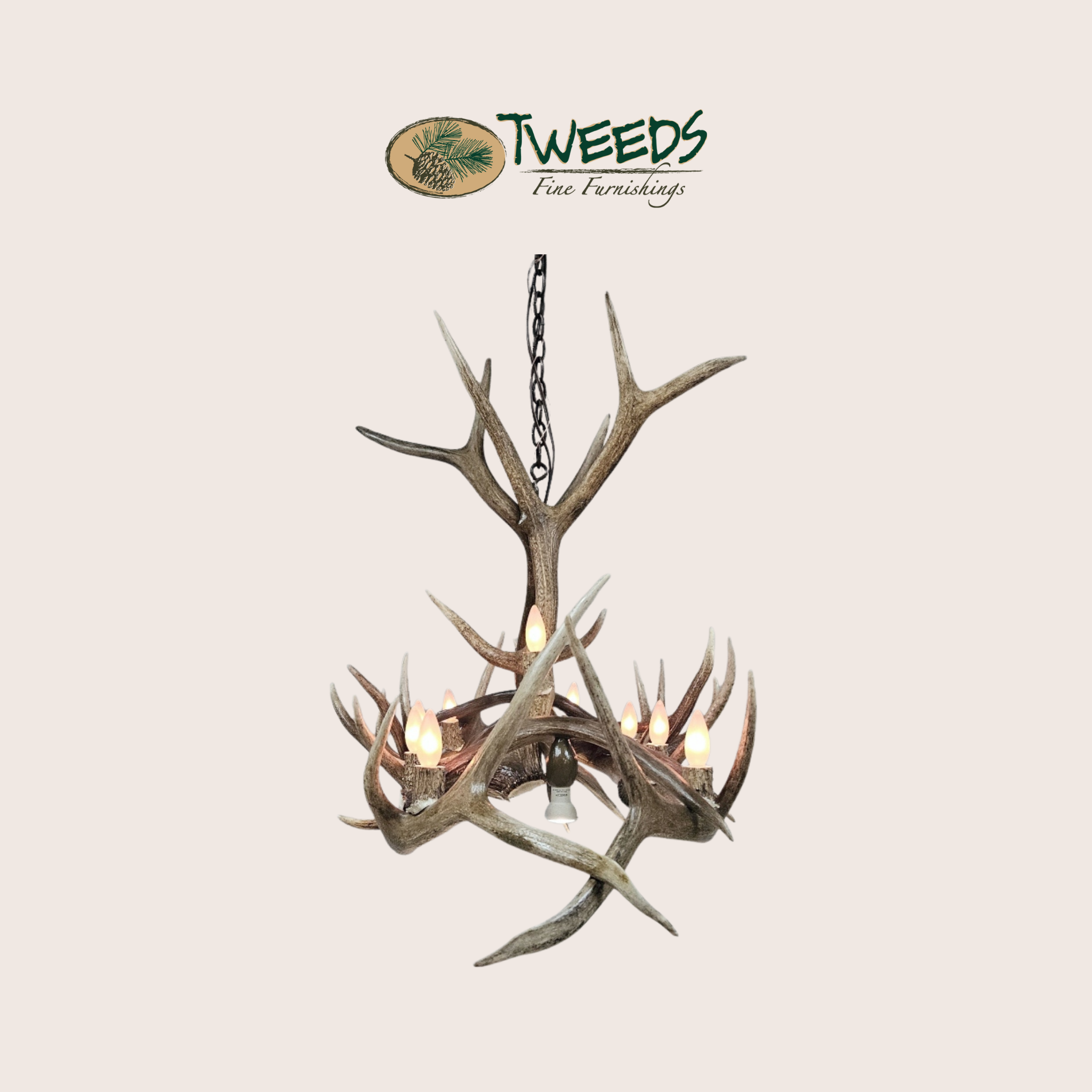 Medium Longs Peak Elk Antler Chandelier