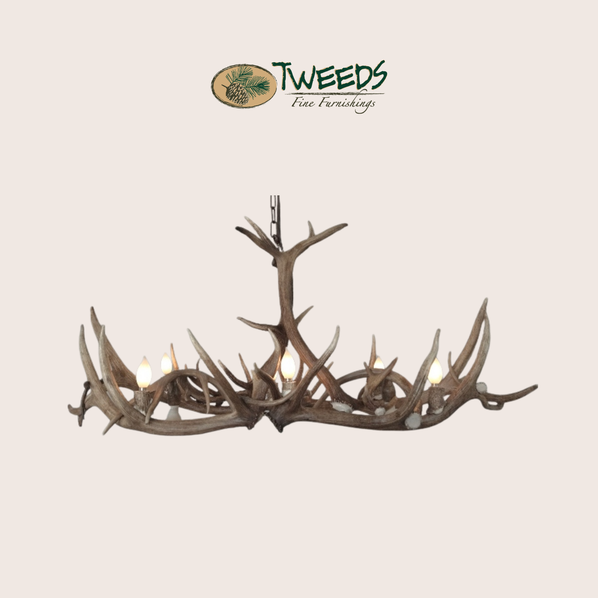 Small Longs Peak Elk Antler Chandelier
