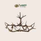 Small Longs Peak Elk Antler Chandelier