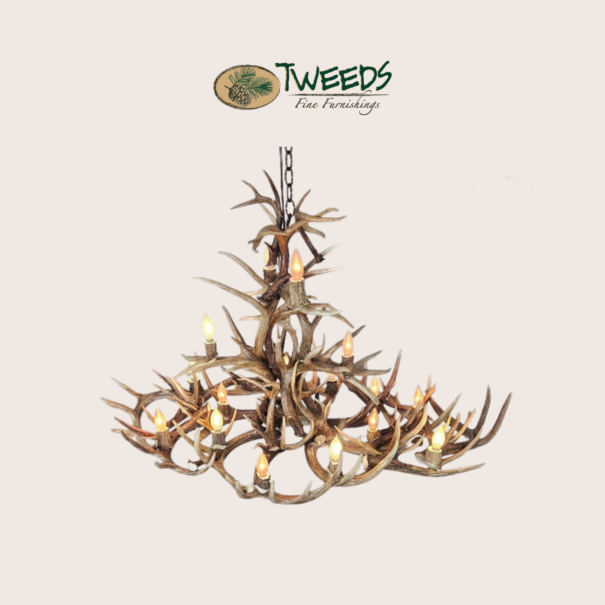 Extra Large Blanca Peak Canadian Whitetail Chandelier