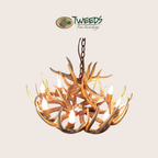 Large Little Bear Peak Canadian Whitetail Chandelier