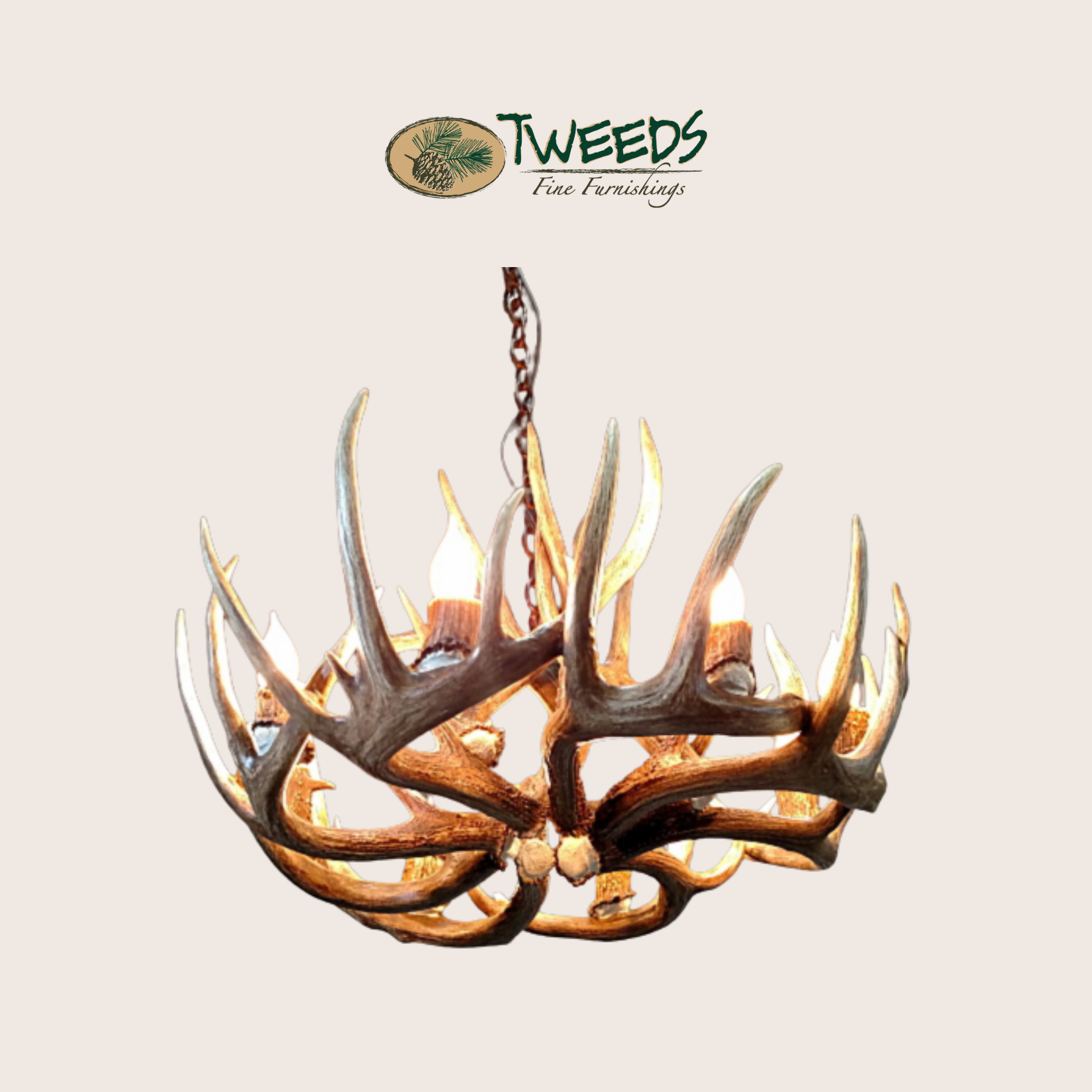 Large Little Bear Peak Canadian Whitetail Chandelier