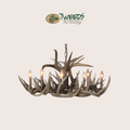 Oval Little Bear Peak Canadian Whitetail Chandelier