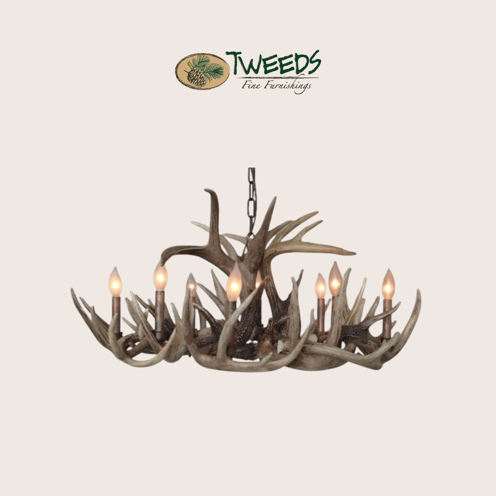 Oval Little Bear Peak Canadian Whitetail Chandelier