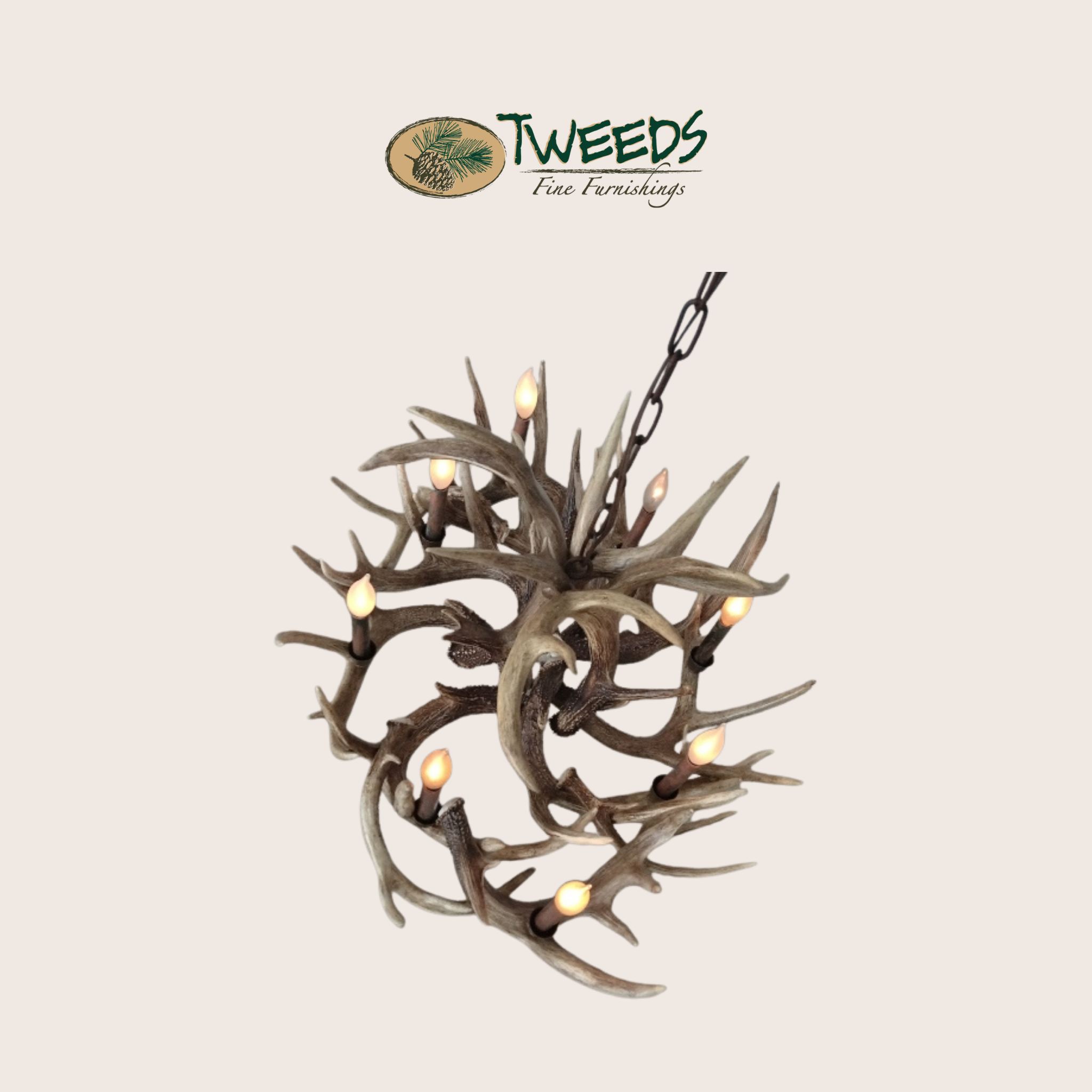 Oval Little Bear Peak Canadian Whitetail Chandelier
