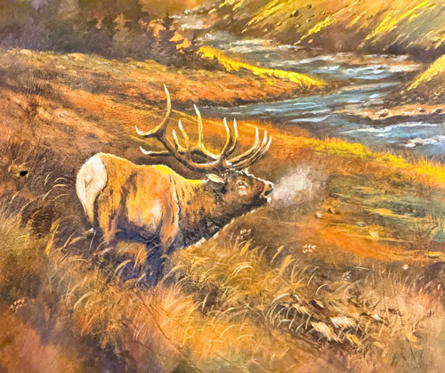 Original Painted Hide - Pikes Peak Elk