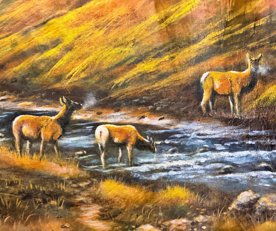 Original Painted Hide - Pikes Peak Elk
