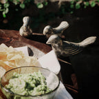 Familia d'Seis Pajaros
