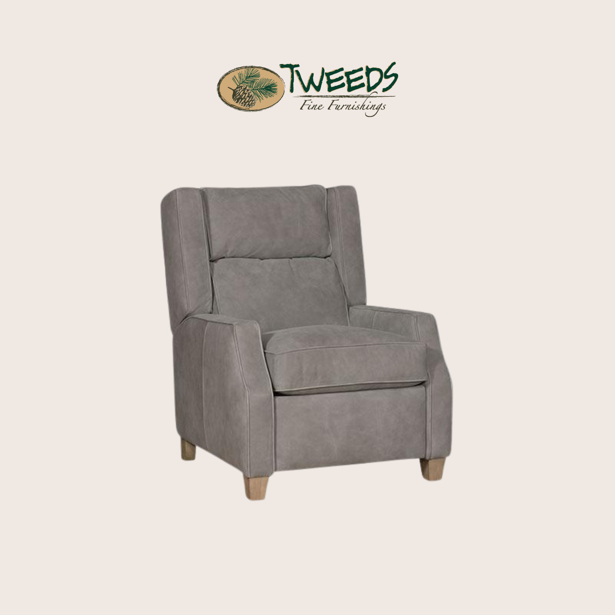 Hannah Power Recliner