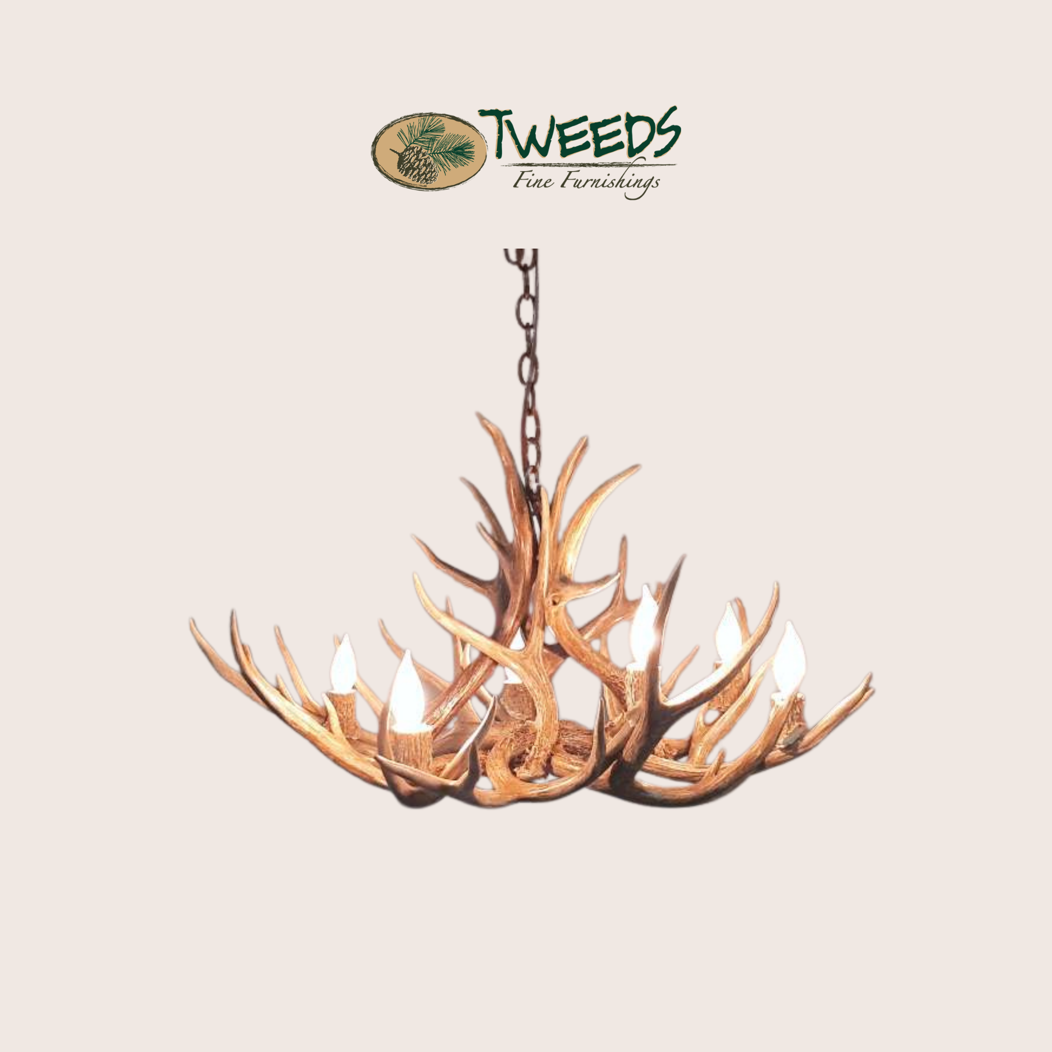 Medium Farmhouse Mule Deer Antler Chandelier