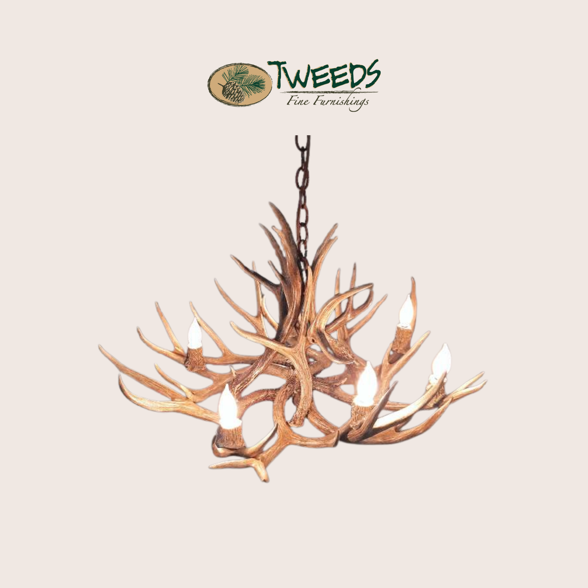 Medium Farmhouse Mule Deer Antler Chandelier