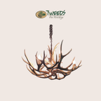 Medium Farmhouse Mule Deer Antler Chandelier
