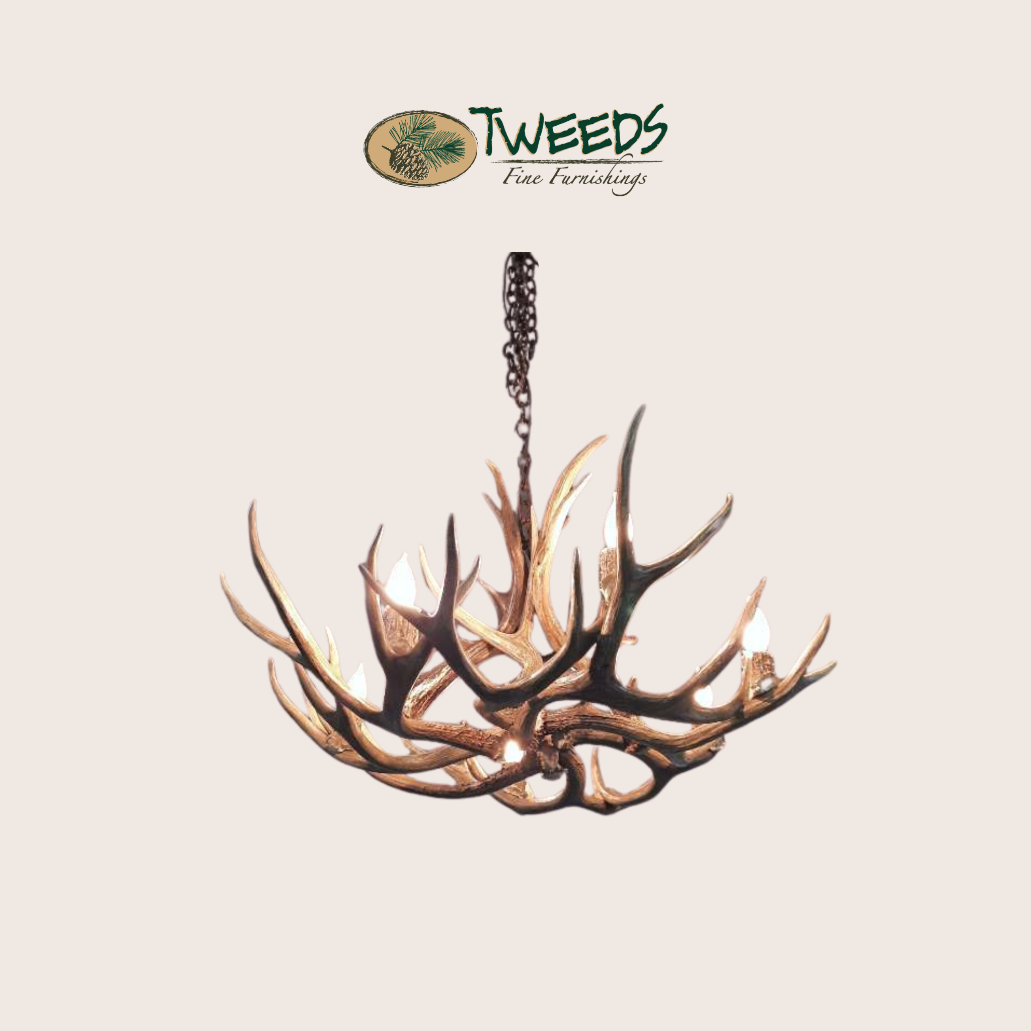 Medium Farmhouse Mule Deer Antler Chandelier