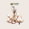 Small Farmhouse Mule Deer Antler Chandelier