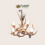Small Farmhouse Mule Deer Antler Chandelier