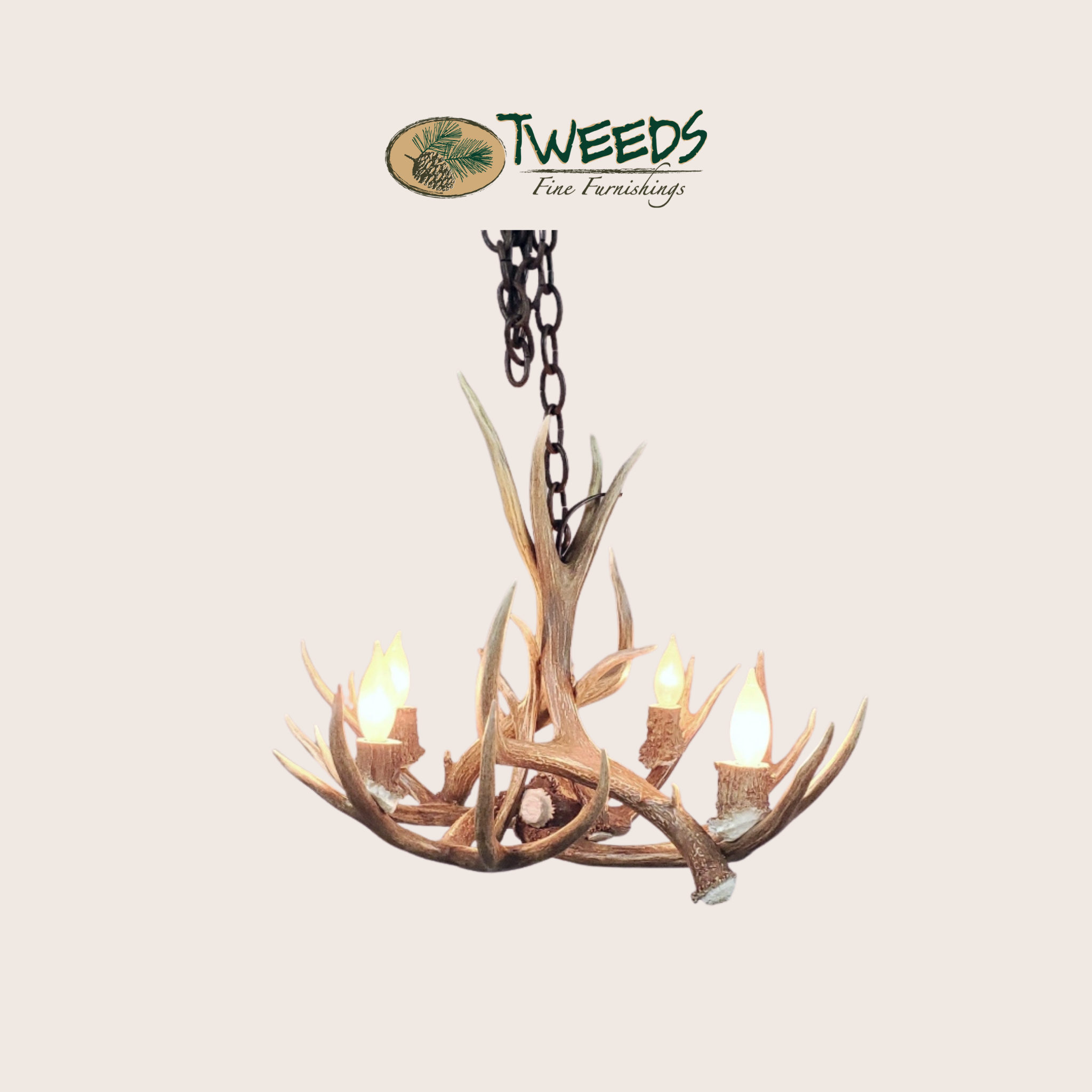Small Farmhouse Mule Deer Antler Chandelier