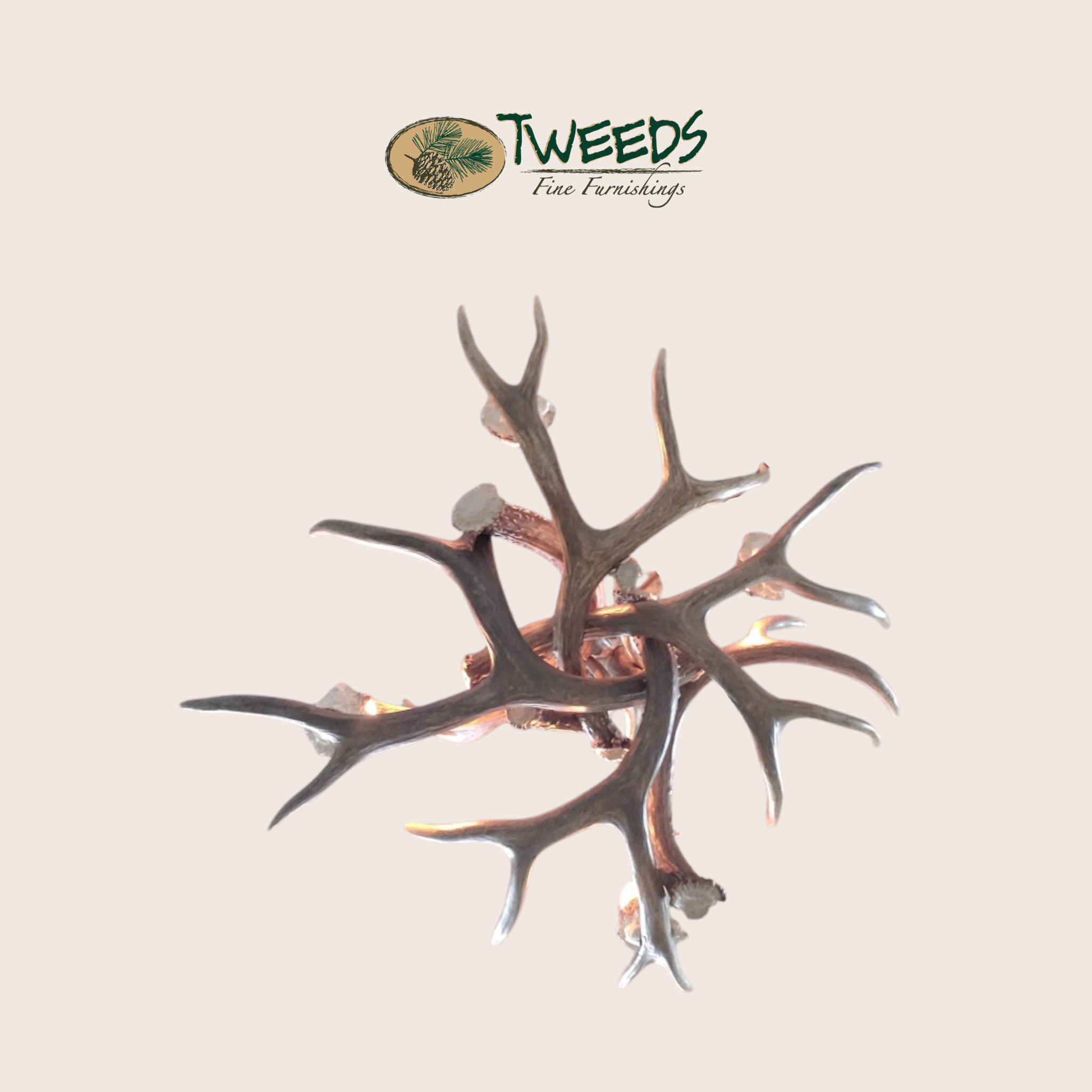 Small Farmhouse Mule Deer Antler Chandelier