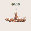 Medium Aspen Mule Deer Antler Chandelier