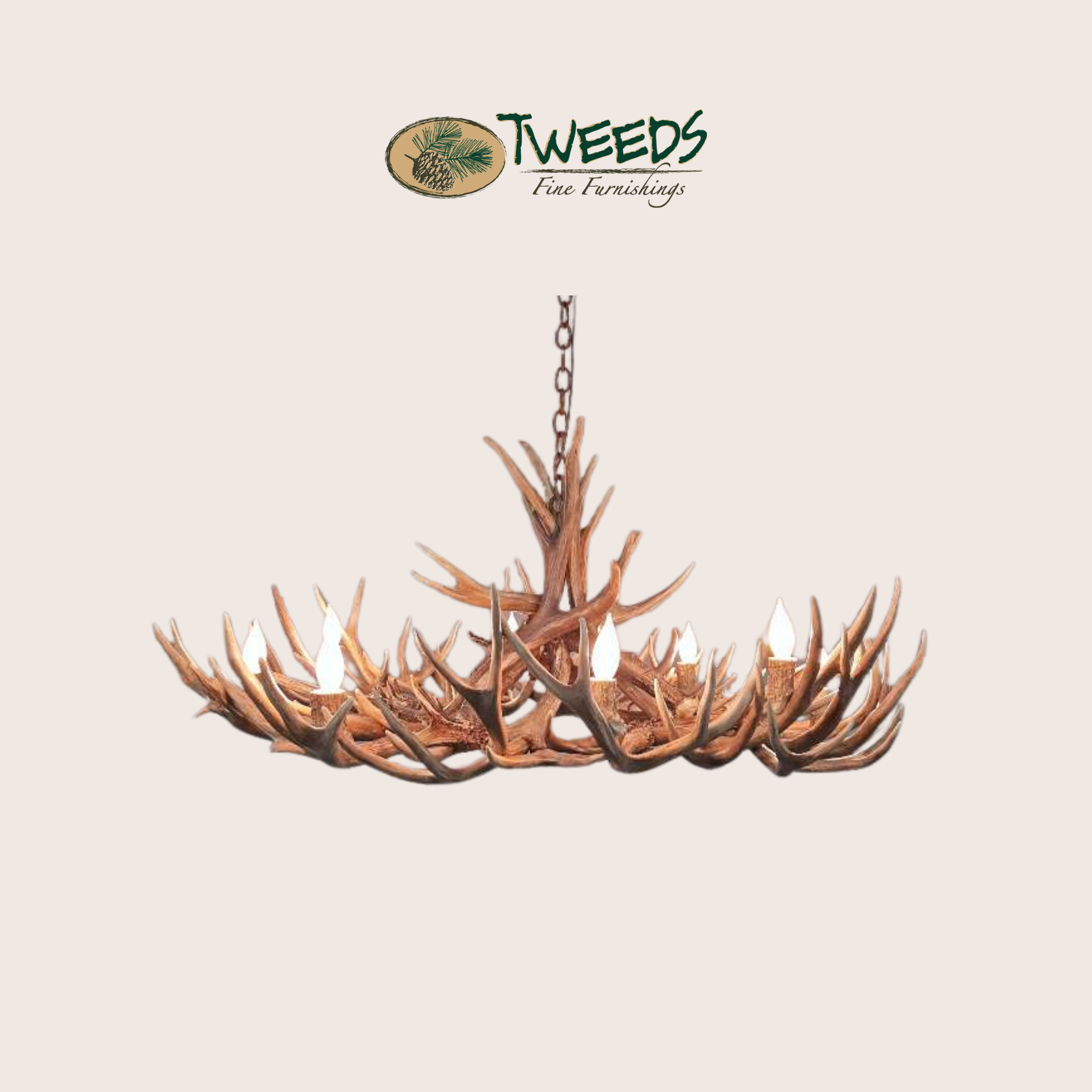 Medium Aspen Mule Deer Antler Chandelier