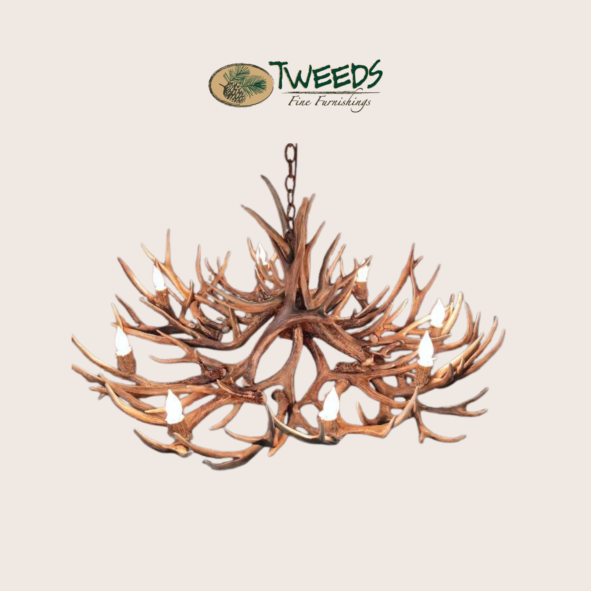 Medium Aspen Mule Deer Antler Chandelier