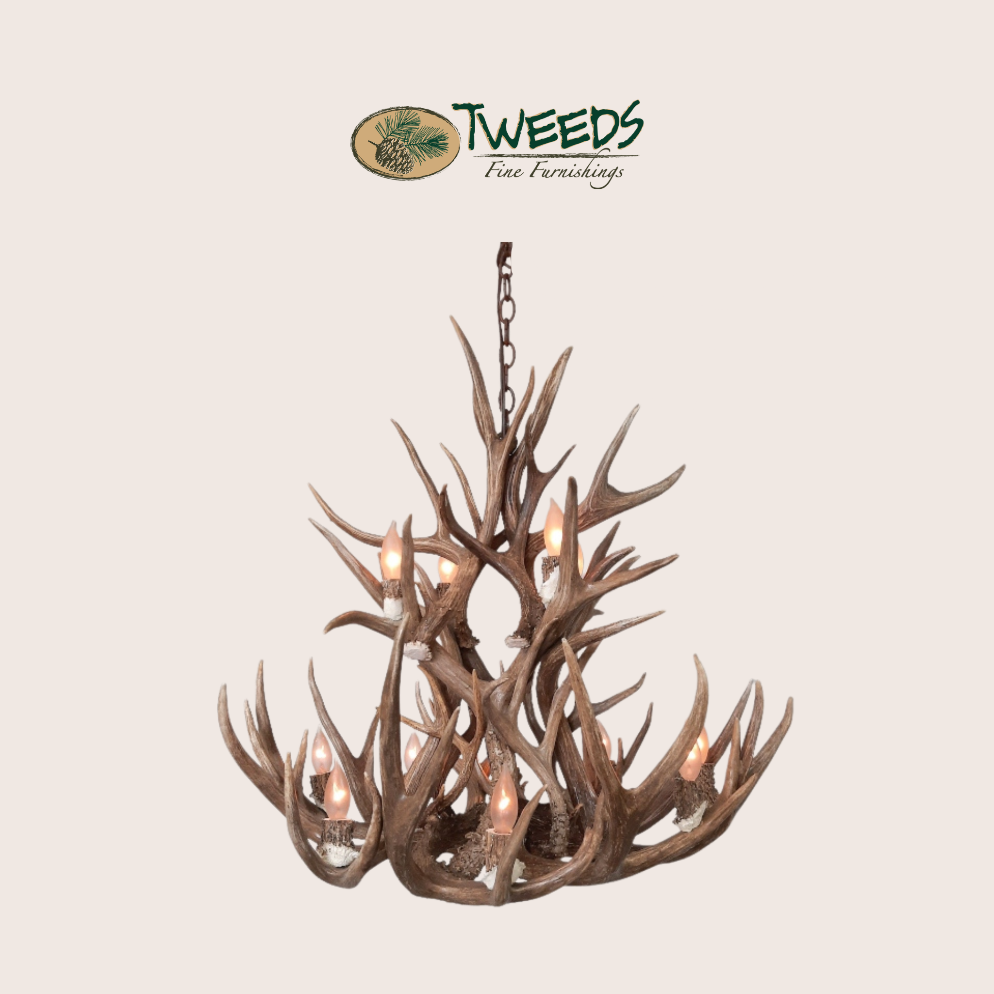 Small Bristlecone Mule Deer Antler Chandelier