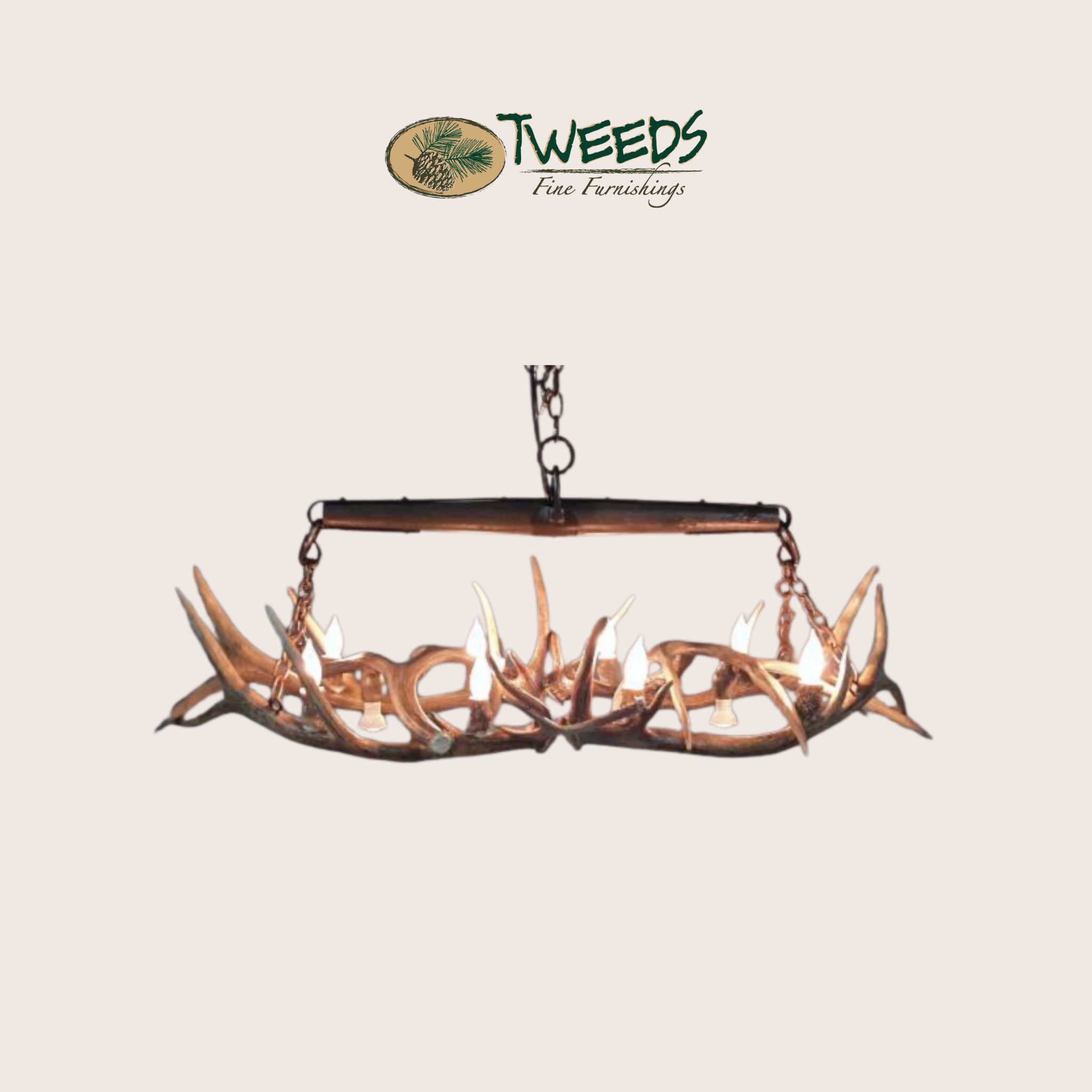 Small Snowmass Elk Antler Chandelier