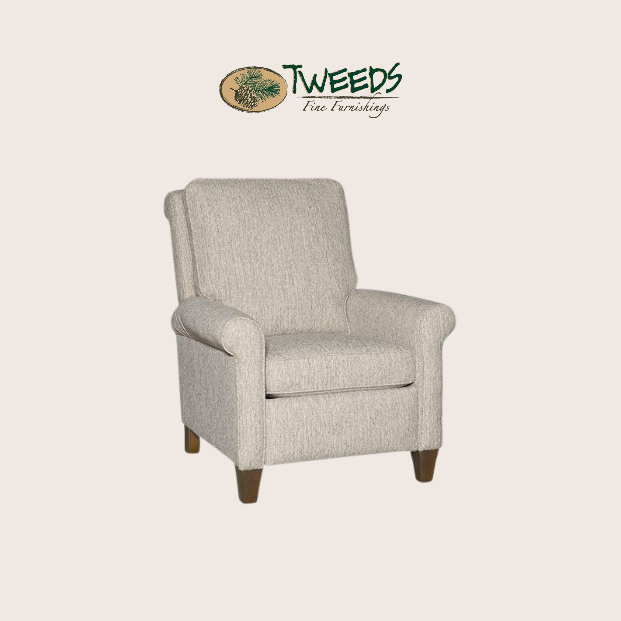 Danica Power Recliner