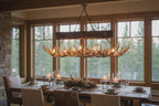 Large Snowmass Mule Deer Antler Chandelier